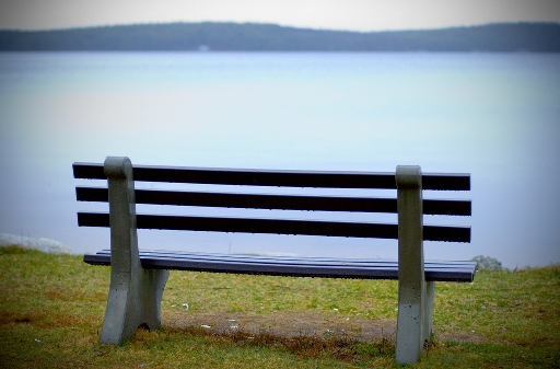 bench