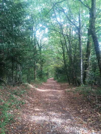 Hike to Chalet de Narderan — photo 4