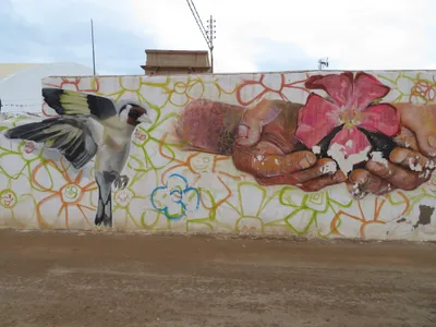 Cartagena — photo 6