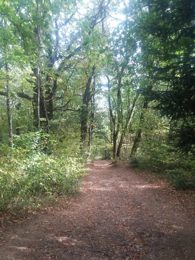 Hike to Chalet de Narderan — photo 5
