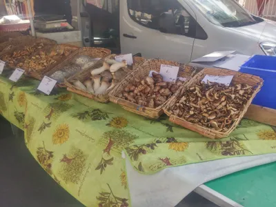 Marché de Plainpalais, Geneva — photo 2