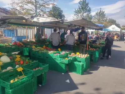 Marché de Plainpalais, Geneva — photo 9