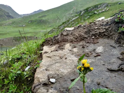 Kashmir — photo 4