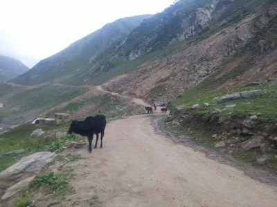 Kashmir — photo 2