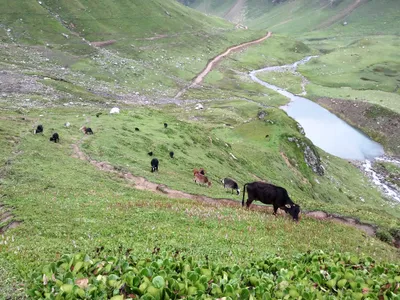 Kashmir — photo 8