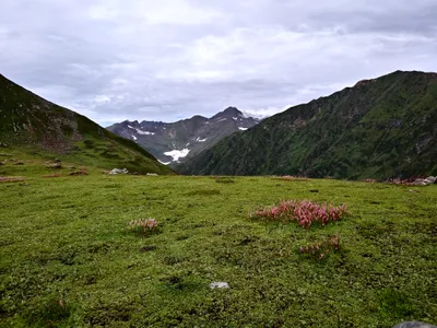 Kashmir — photo 3