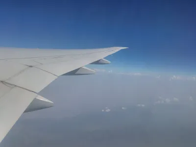 Flight to Geneva — photo 6