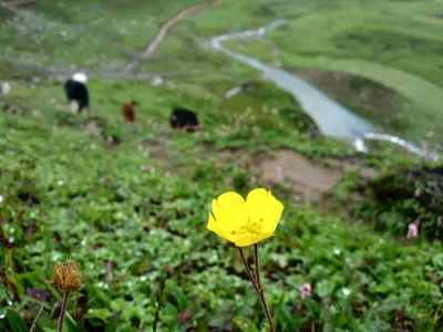 Kashmir — photo 7