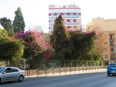 Almería — photo 2
