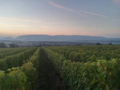 Sunrise in Choully, Satigny — photo 2