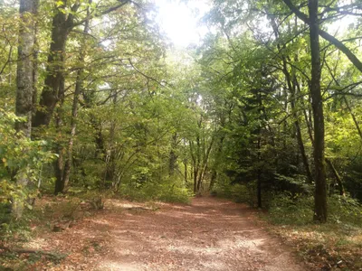 Hike to Chalet de Narderan — photo 1