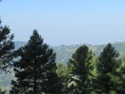 Murree - Nathia Gali — photo 2