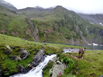 Kashmir — photo 6