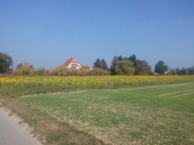Bern, Fribourg, and Murten — photo 4