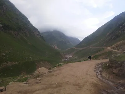 Kashmir — photo 1