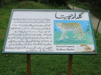 Murree - Nathia Gali — photo 1