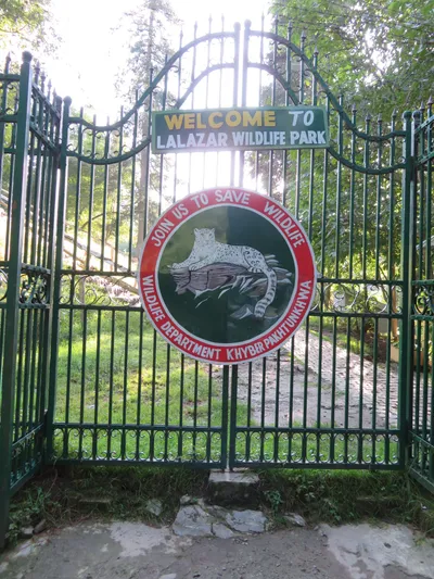 Murree - Nathia Gali — photo 14