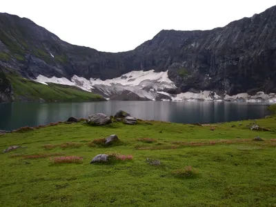 Kashmir