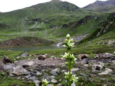 Kashmir — photo 6
