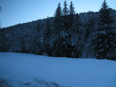 Les Gets — photo 2
