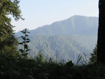 Murree - Nathia Gali — photo 1