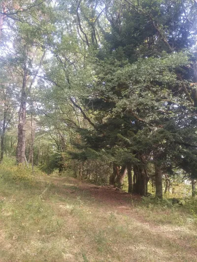 Hike to Chalet de Narderan — photo 7