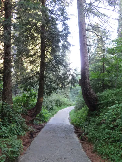Murree - Nathia Gali — photo 16
