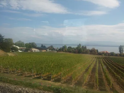 Visit to La Cathédrale de Lausanne and shore of Lake Geneva — photo 1