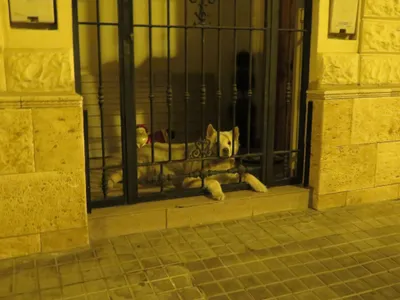 Valencia — photo 8