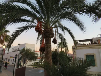 Almería — photo 2