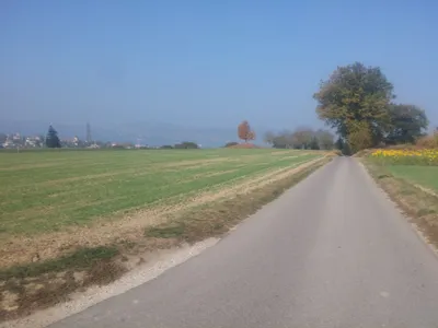 Bern, Fribourg, and Murten — photo 5