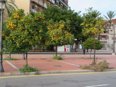 Valencia — photo 1