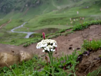 Kashmir — photo 2
