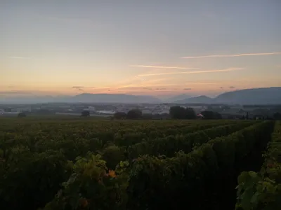 Sunrise in Choully, Satigny — photo 1