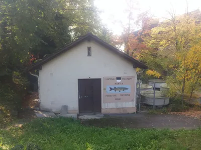 Bern, Fribourg, and Murten — photo 12