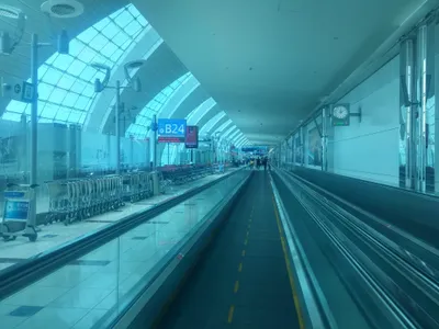 Flight to Geneva — photo 5