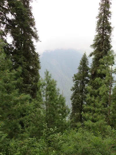 Murree - Nathia Gali — photo 5