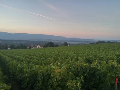 Sunrise in Choully, Satigny — photo 4