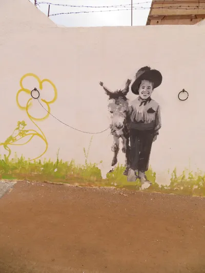 Cartagena — photo 6