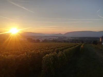Sunrise in Choully, Satigny — photo 4