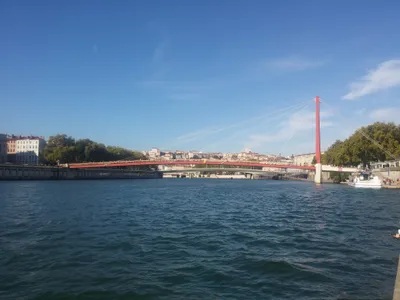 The Basilica of Notre-Dame de Fourvière, Jardin botanique, and the city of Lyon — photo 1