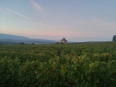 Sunrise in Choully, Satigny — photo 3