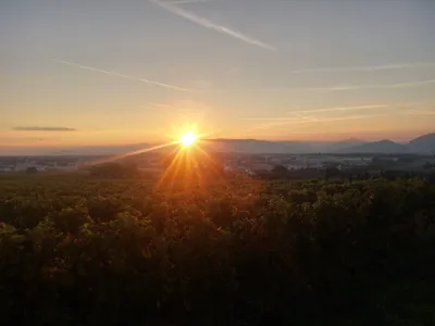 Sunrise in Choully, Satigny — photo 2