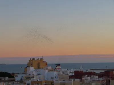 Almería — photo 1