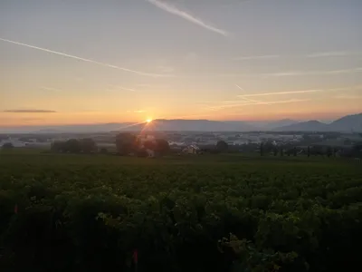 Sunrise in Choully, Satigny — photo 1
